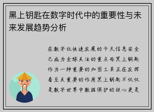 黑上钥匙在数字时代中的重要性与未来发展趋势分析